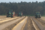Agroborków - odkamienianie pól pod uprawę machwi